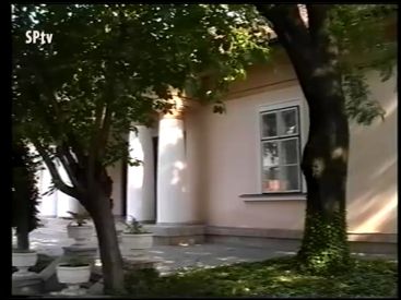 Pár Szó A Szavazásról